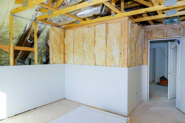 Best Spray Foam Insulation  in Black Jack, MO