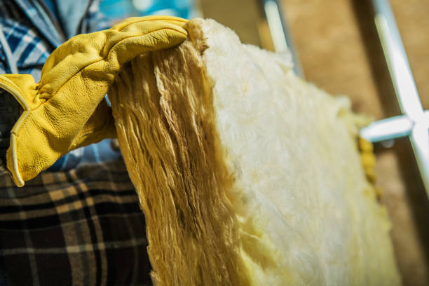Best Attic Insulation Installation  in Black Jack, MO
