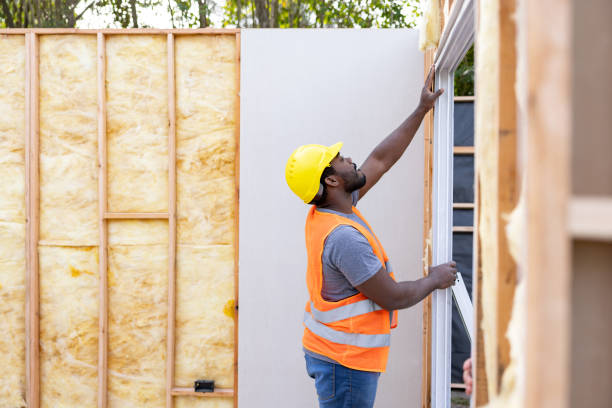 Best Soundproof Insulation Installation  in Black Jack, MO