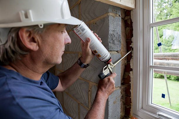 Best Attic Insulation Installation  in Black Jack, MO