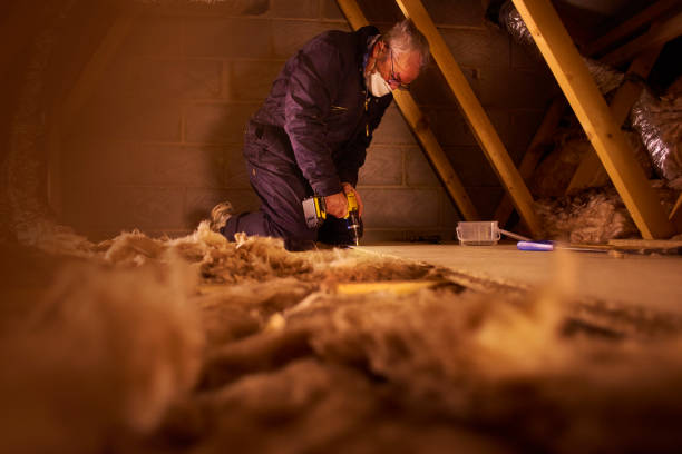 Best Residential Insulation Services  in Black Jack, MO