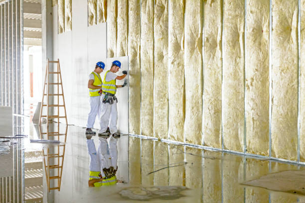 Best Spray Foam Insulation  in Black Jack, MO